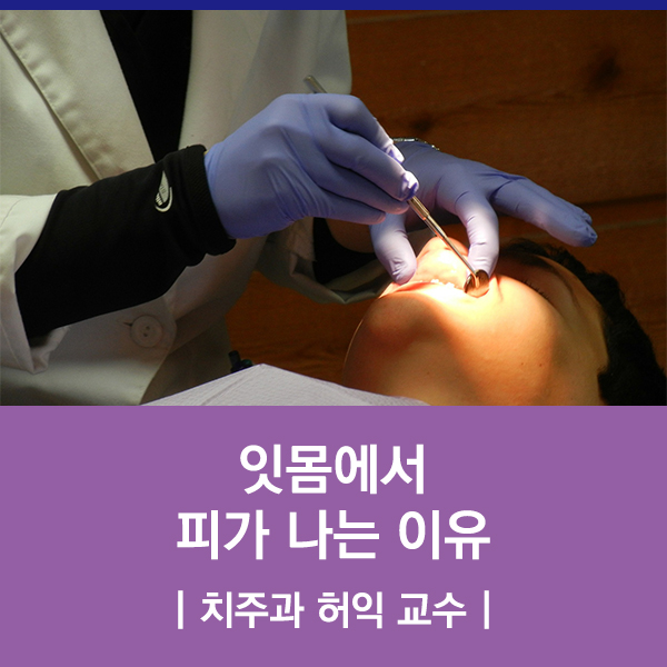  잇몸에서 피가 나는 이유 / 치주과 허익 교수