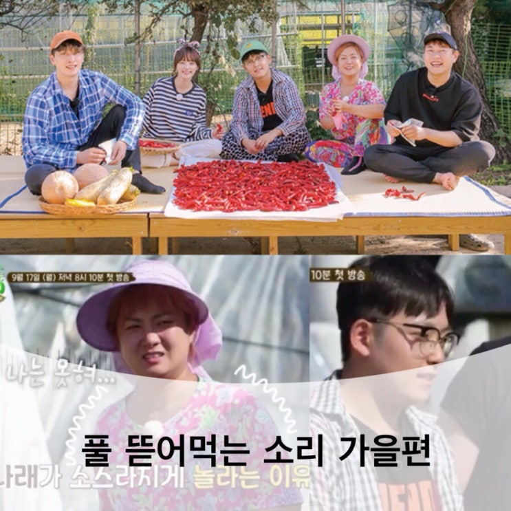  풀뜯어먹는소리 가을편, 풀뜯소 박나래, 황찬성 합류!