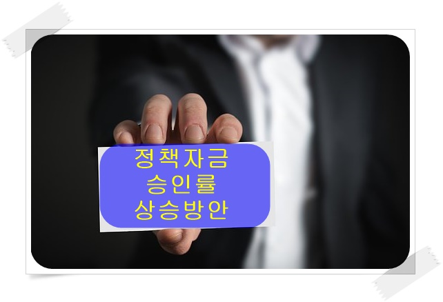  정책자금 승인률 높이는 방법 2탄