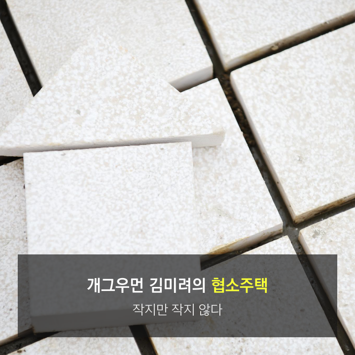  [기획연재] 작은집이지만 작지 않다, 김미려의 협소주택 - 부동산114