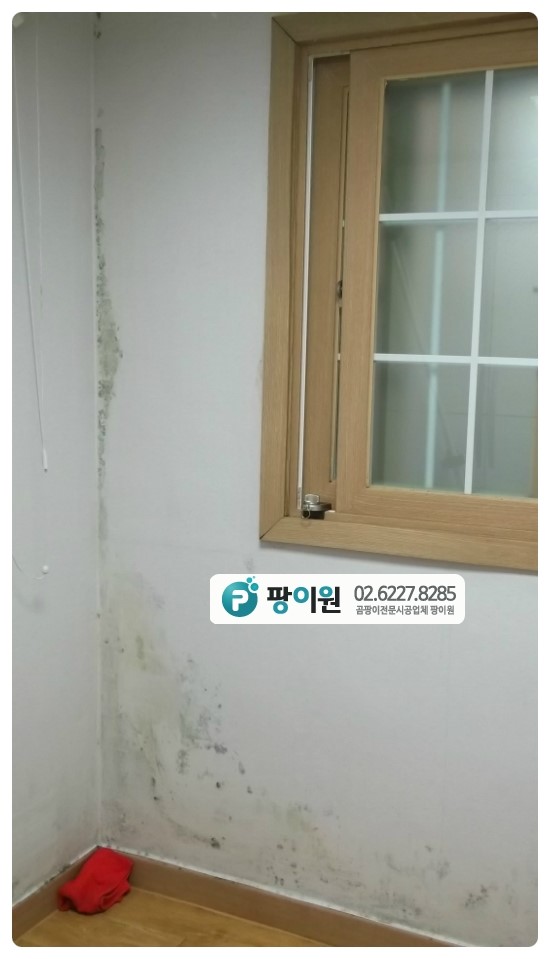  항균 단열시공으로 곰팡이 해결!