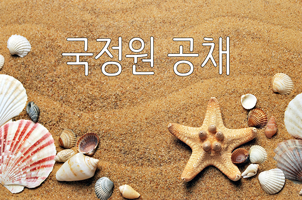  국정원 공채 대비