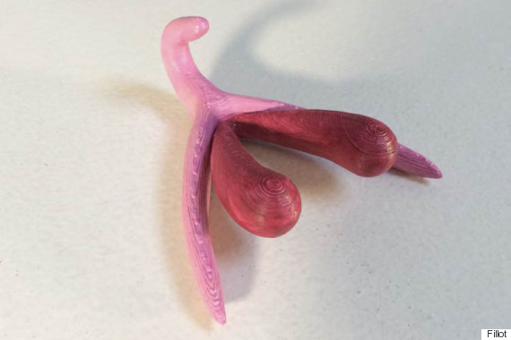  Glans clitoris, 음핵귀두, 여성 클리토리스의 모양과 놀라운 사실들
