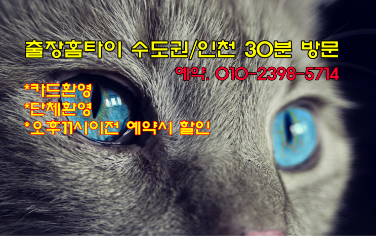  부천 홈출장타이마사지 꿀팁!