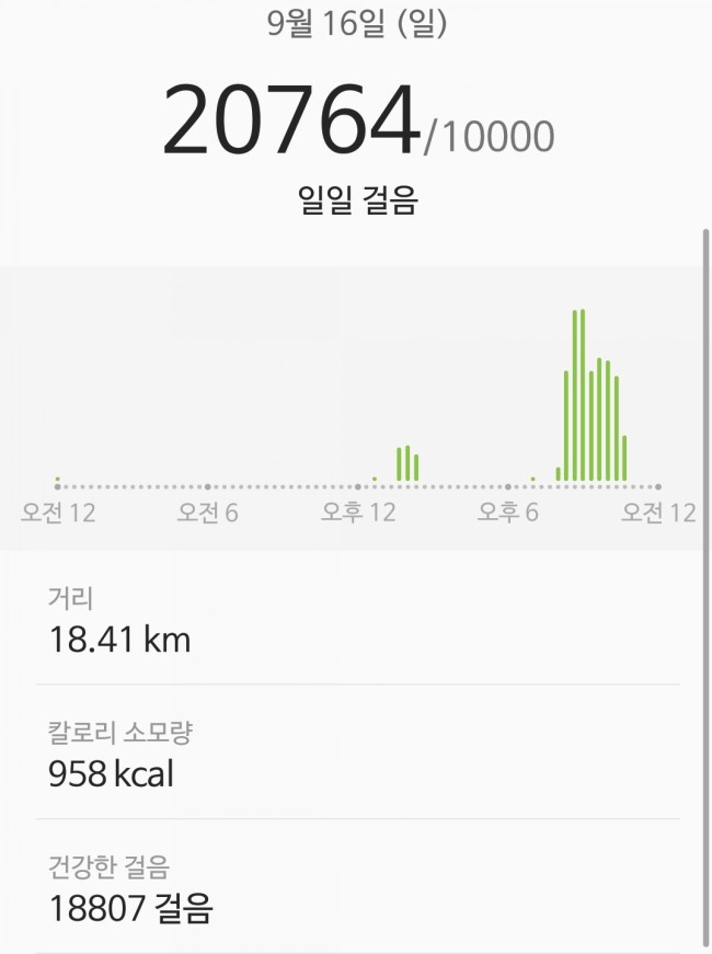 「2018.09.16 다이어트 운동일기 & 식단일기」