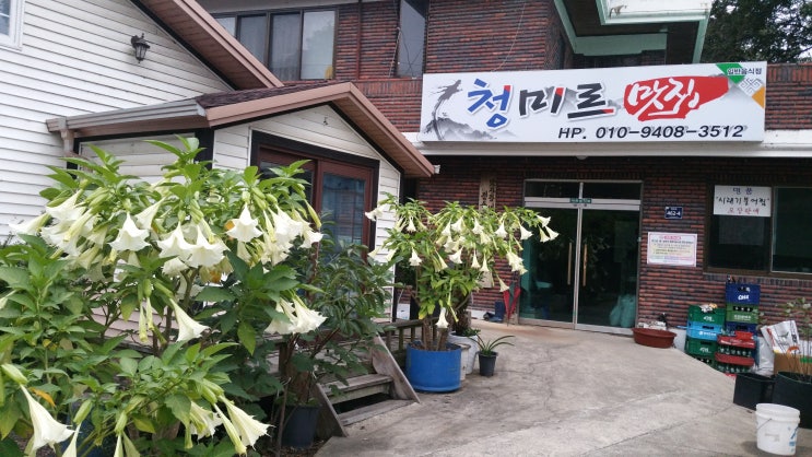  진천맛집/ 청미르맛집