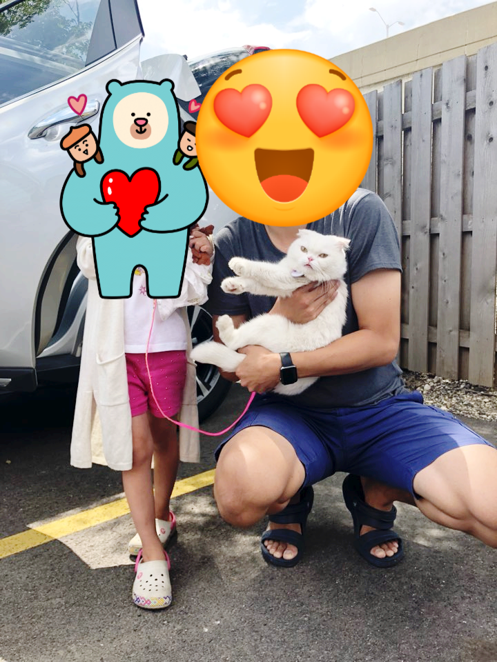  미국 콜럼버스로 못가서 미국시카고로 고양이 애묘카고운송/검역/출국사례 애완동물출국