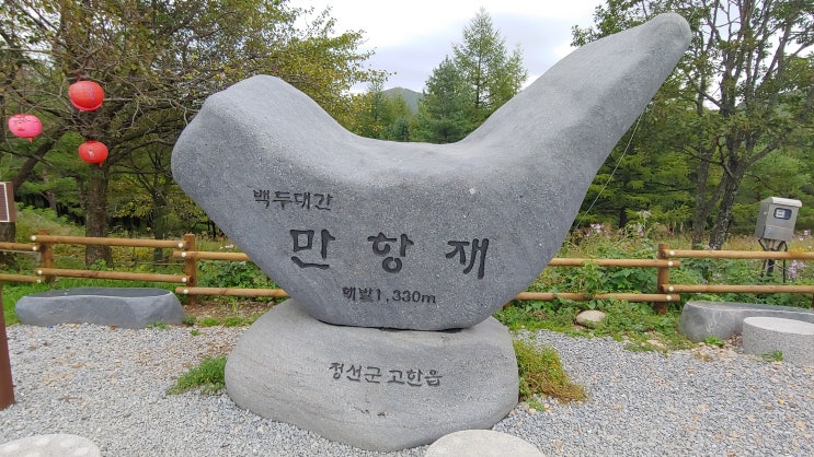 차로 올라가는 가장 높은 곳 드라이브 코스 백두대간 만항재 야생화 탐방로 차로 올라가는 가장 높은 곳 드라이브 코스 백두대간 만항재 야생화 탐방로