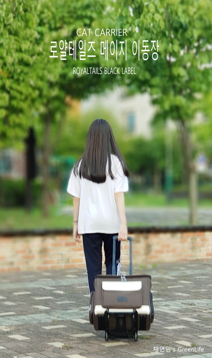  고양이랑 병원가기 짱편리 핸디카트 달린 이동장 봤어욥?