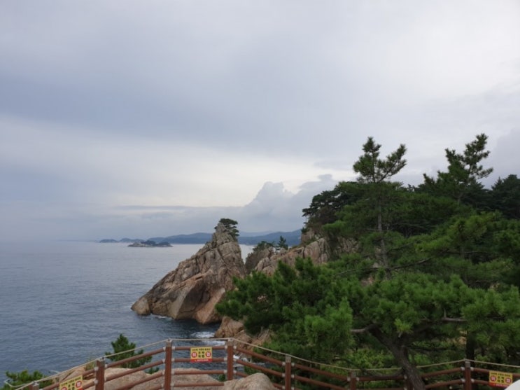  강원도 양양 하조대 / 등대카페 메밀전병 옥수수막걸리