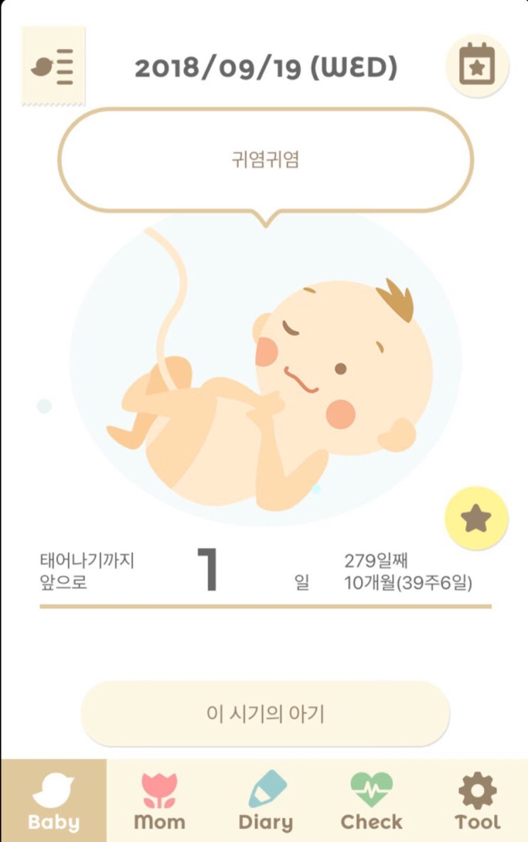 [임신 39주 6일] 이슬비침/하늘보는아기