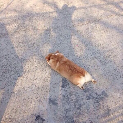  복음(伏吟)