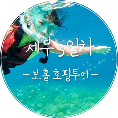  [세부 3일차] 인당 750페소, 현지 투어 업체와 함께하는 보홀 호핑투어(돌고래 왓칭, 발리카삭, 버진 아일랜드)