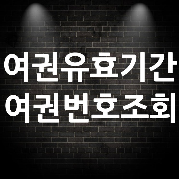 여권 유효기간 만료일 여권번호 조회