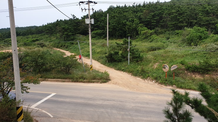  백령도 가을리 (전) 생산관리 480㎡ 토지매매 2천9백만원