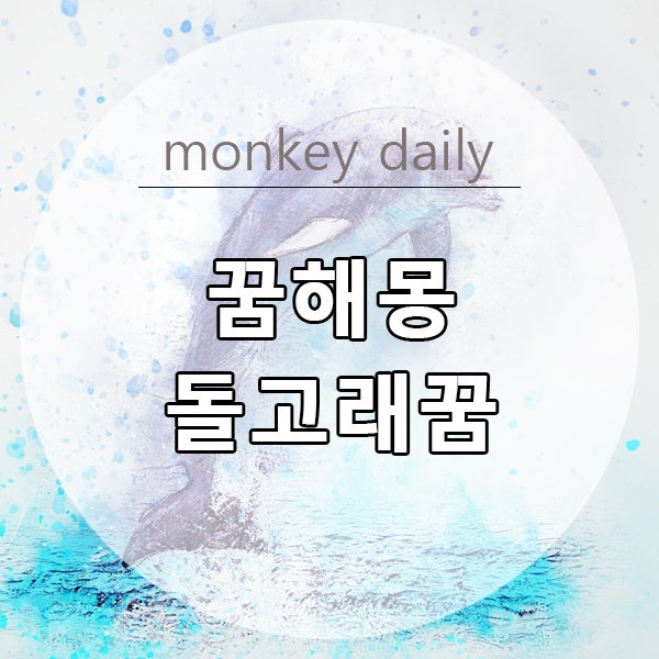 고래꿈해몽(돌고래 꿈 해몽) 풀이 정리 해봤어요:)