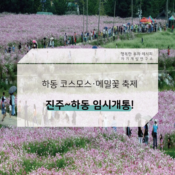  [하동 소식] 코스모스·메밀꽃 축제, 진주~하동 국도 2호선, 방화 교차로 ~ 북천 교차로 임시개통!
