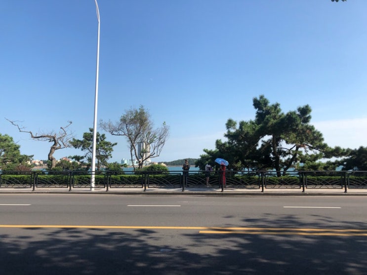 [청도과기대 DAY14] 칭다오에서 리얼 힐링하기