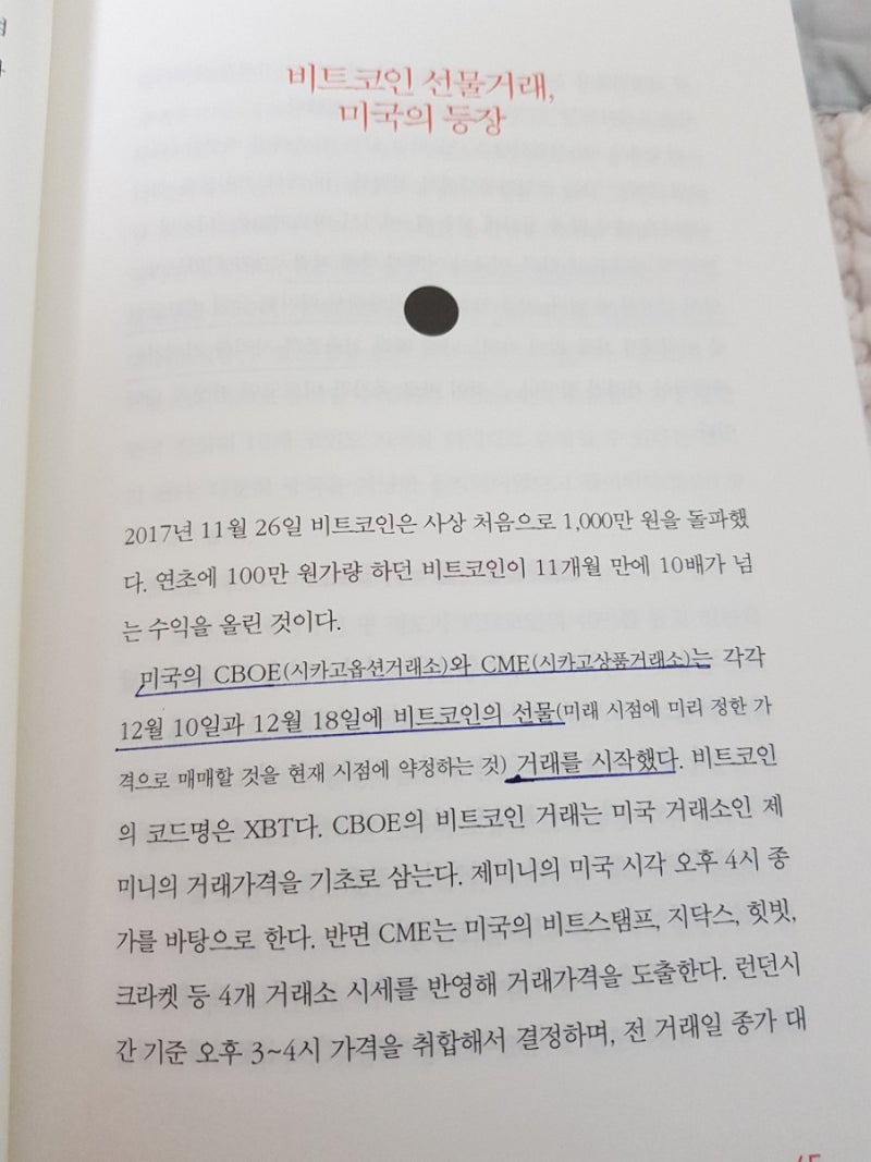 비트코인 1억간다 : 네이버 블로그