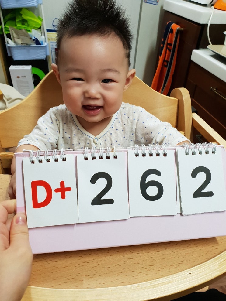  아기이유식배달 로하스밀 편하고 영양가득 중기이유식