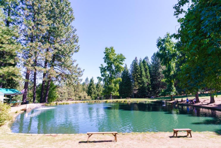  [Placerville/CA] 사과 농장 Apple Hill - High Hill Ranch, Fudge Factory, Delfino Farms