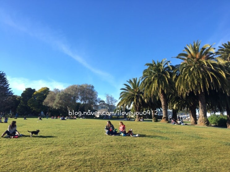 미국 여행, 샌프란시스코 여행 ~ 알라모스퀘어 Alamo Square