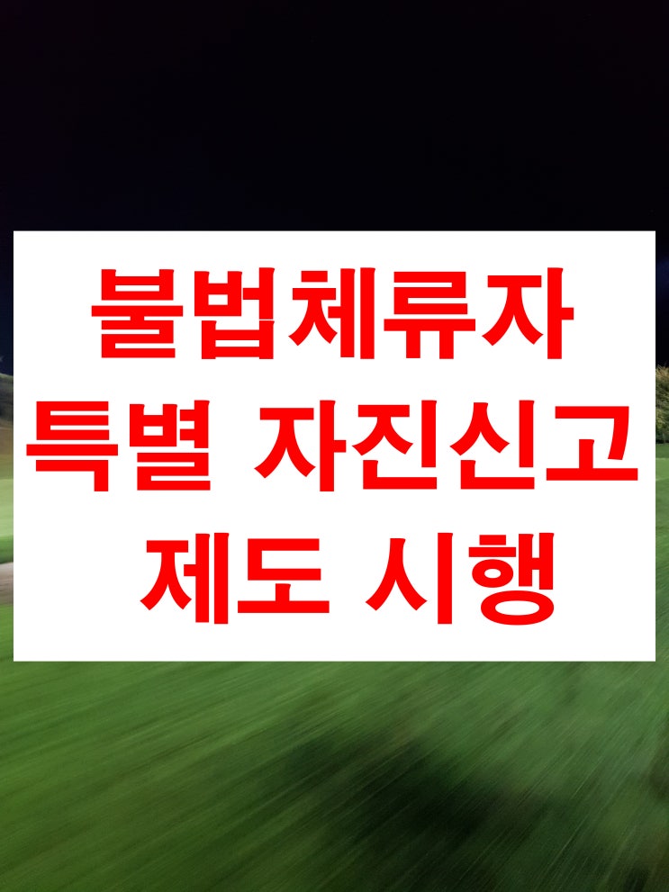  불법체류자 특별자진신고 제도 시행한다고 합니다.