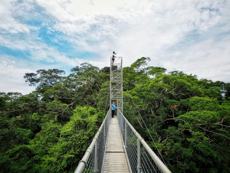 브루나이 여행 태초의 자연 템부롱 국립공원!