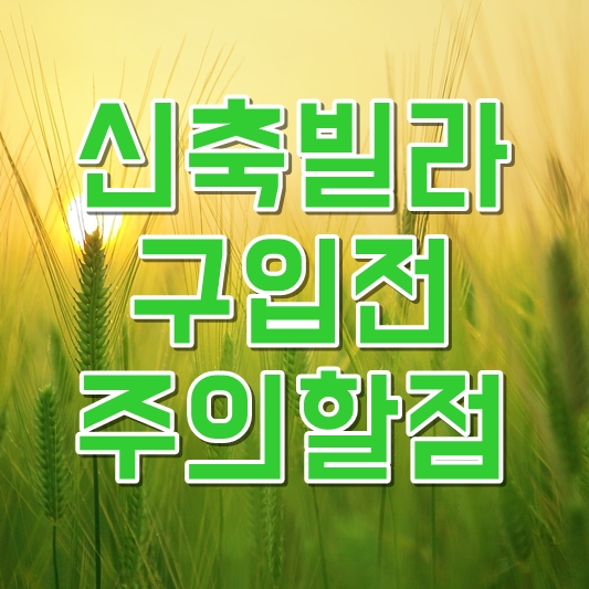  신축빌라로 집을 구입하시실분들이 주의할점