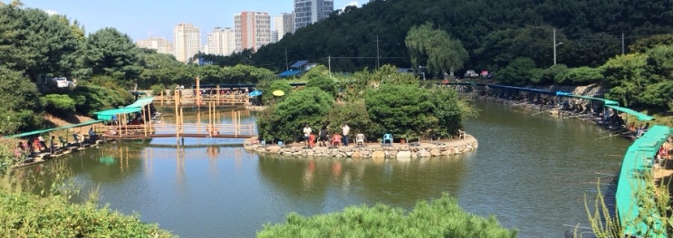  구래낚시터 뒷산에 밤 주으러 갔다온 후기~