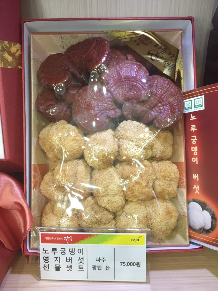  추석에 가족들과 가볼만한 곳, 파주 임진각에 송이뜰 버섯상품이 땋!