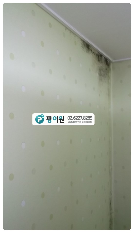  도배후 벽지곰팡이제거 큰일이네요!