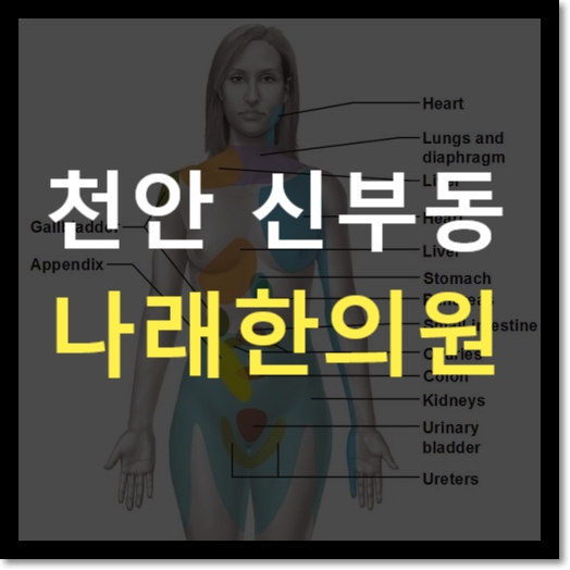  천안 추석 연휴에 진료 하는 한의원, 병원 : 신부동 나래한의원