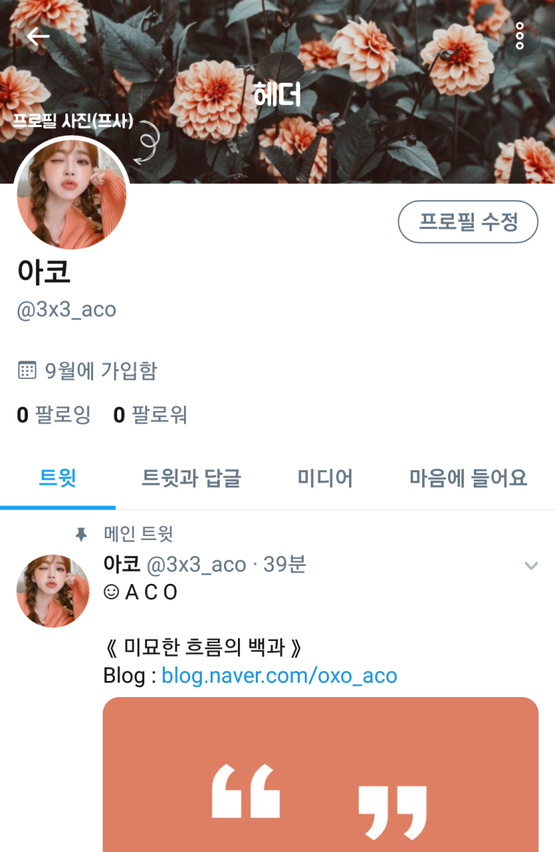 페이지 꾸미기 ] 트위터 꾸미기 방법과 최적 사이즈 : 네이버 블로그