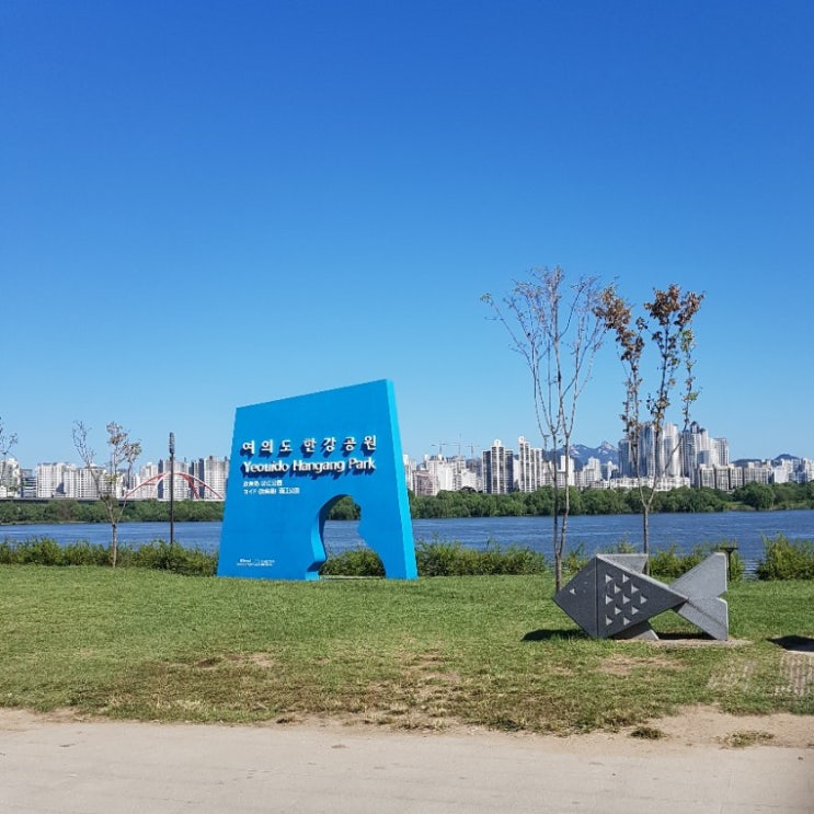  강아지산책 여의도한강공원 버킷리스트 달성!