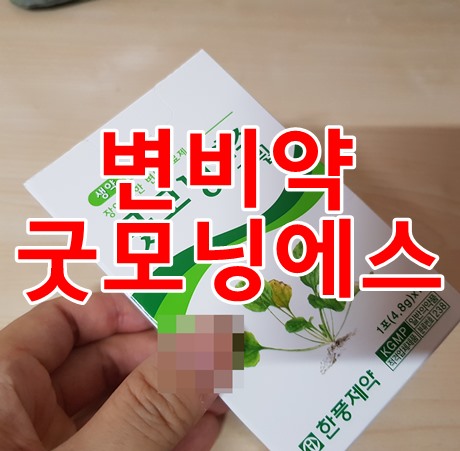 변비약추천 굿모닝에스과립