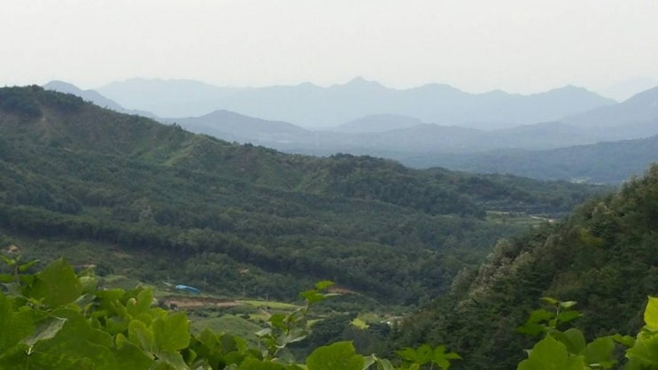  산을 본다는건