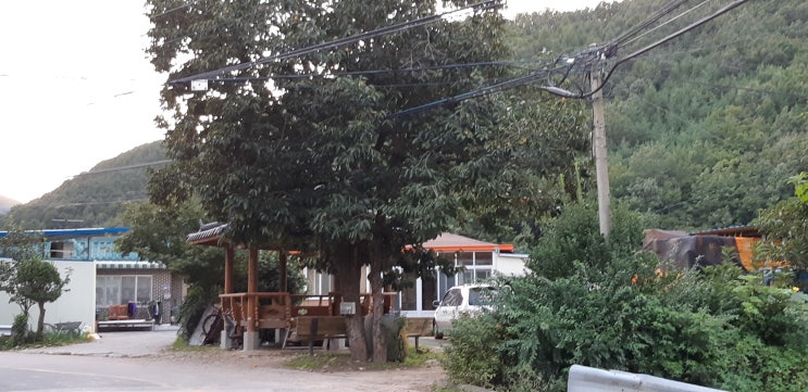  청송의 초가을풍경