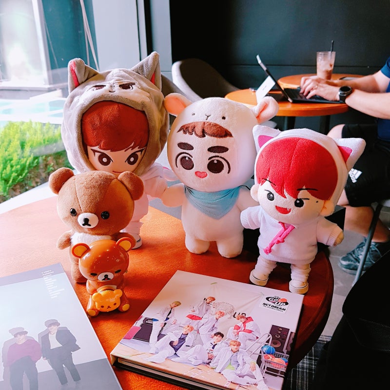 Idol Doll EXO D.O. 20cm Doll 'Dyorami' Purchased!