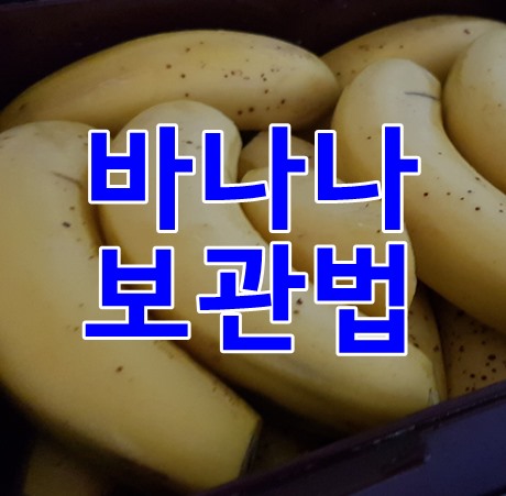 바나나보관법알면 싱싱하게 먹을수 있어요