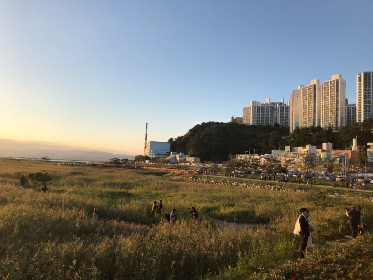 [부산 가족여행 추천] 다대포해수욕장 '다대포해변공원' '낙조분수' ,'이비가짬뽕'
