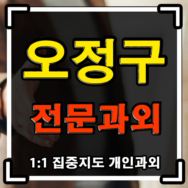  부천 오정구 과외 (원종동 고강동) 중학생 고등학생 개인과외 영어 국어 주도학습 습관까지 !