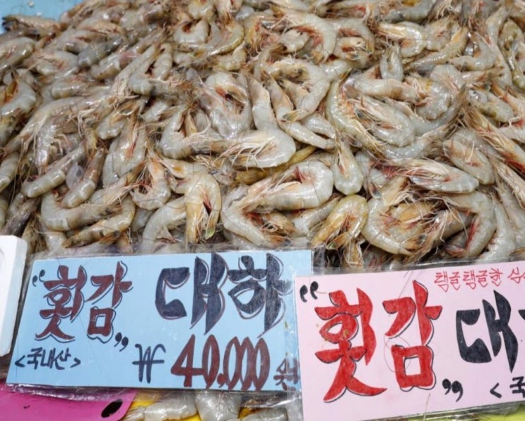  안면도 백사장 대하축제 2018 일정 및 주차 맛집 정보