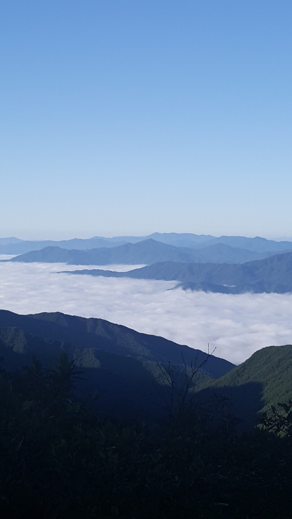 지리산 노고단 (국립공원관리공단 예약통합시스템)