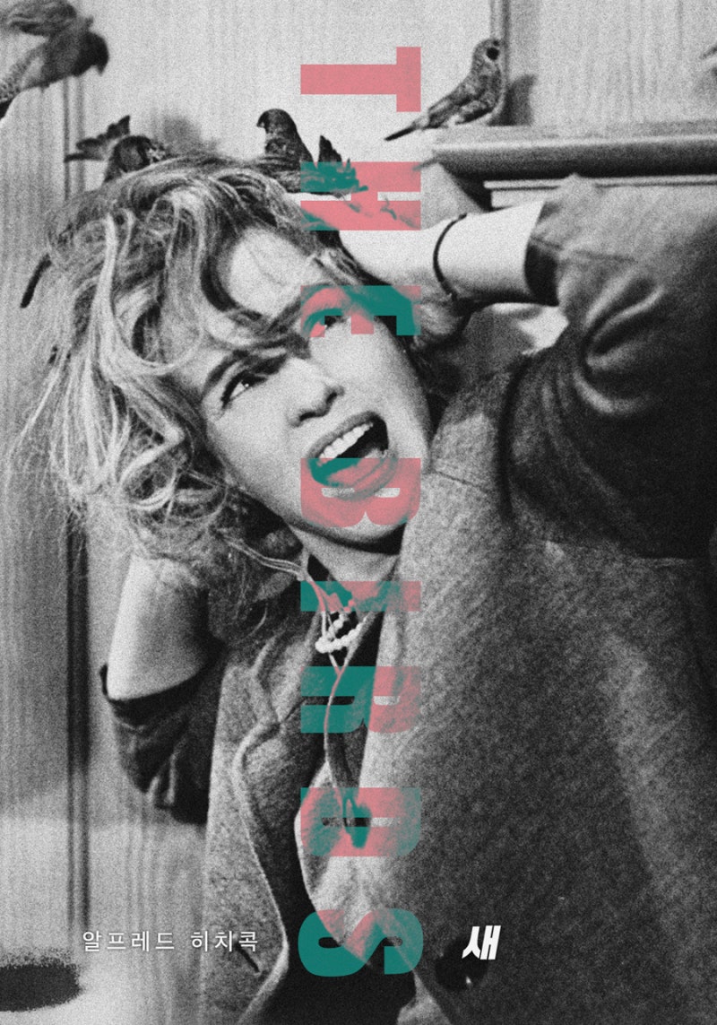 새 (1963, 2018): 누구든 작은 새를 무시하면 아주 지옥되는 거예요. : 네이버 블로그, image size:800x1143