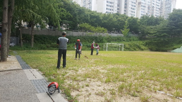  [대통남의 조경_18] 예초 조경관리 축구장잔디깎기