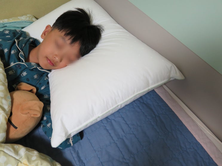  노르딕슬립 프리미엄 덴마크베개로 꿀잠!!
