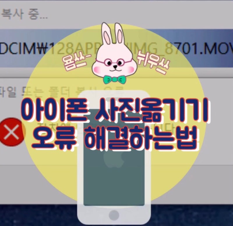욤쓰꿀팁 짜증나는 아이폰 사진옮기기 오류 장치 연결 원본파일 등 해결하는 방법 네이버 블로그
