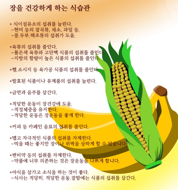  해독과 면역력을 높이는 장건강 지키기