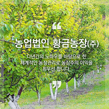  토지매매 수익형 호두나무 농장분양 '횡성황금농장'